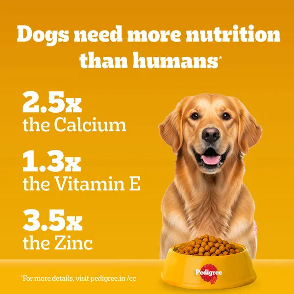 Pedigree Chicken and Vegetables Adult Dog Dry Food