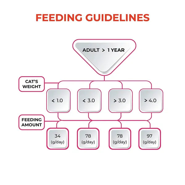 Me O Delite Tuna with Bonito and Tuna with Chicken Flake in Jelly Cat Wet Food Combo