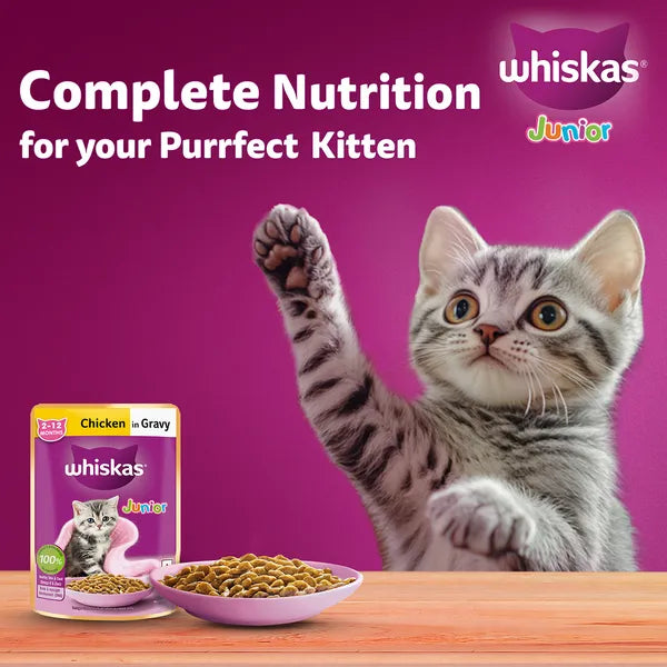 Whiskas Chicken in Gravy Meal Kitten Cat Wet Food
