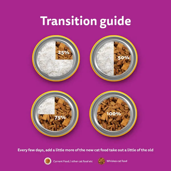 Whiskas Mackerel Flavour Kitten (2 to 12 months)Cat Dry Food