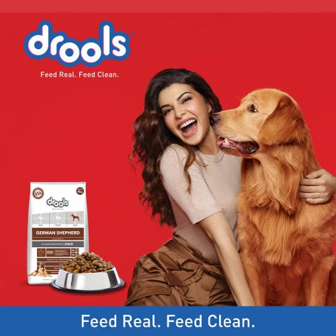 Up to 40% OFF on Drools