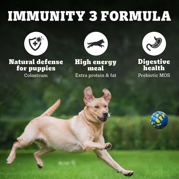 Pedigree PRO Expert Nutrition Lactating/Pregnant Mother & Puppy Starter(3 to 12 Weeks) Large Breed Dog Dry Food