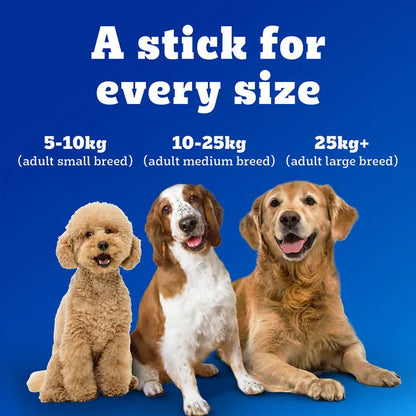 Pedigree Dentastix Oral Care for Adult (Small Breed of 5 to 10 kg) Dog Treats