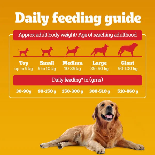 Pedigree Chicken, Egg and Rice Adult Dog Dry Food