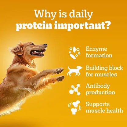 Pedigree Chicken and Liver Chunks in Gravy Adult Dog Wet Food (70g)