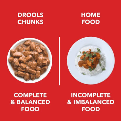 Drools Focus Super Premium Dry Food and Chicken & Liver Chunks in Gravy Adult Dog Wet Food Combo