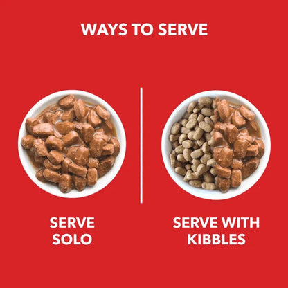 Drools Focus Super Premium Dry Food and Chicken & Liver Chunks in Gravy Adult Dog Wet Food Combo