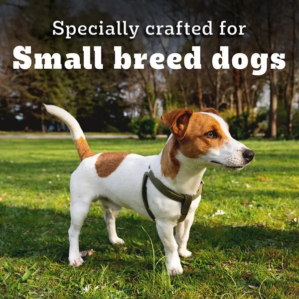 Pedigree PRO Expert Nutrition Adult Dog Dry Food for Small Breed