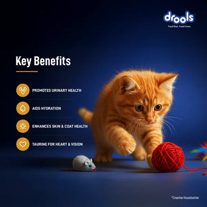 Drools Chicken Mousse Kitten Cat Wet Food