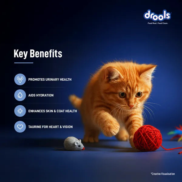 Drools Ocean Fish Mousse Kitten Cat Wet Food