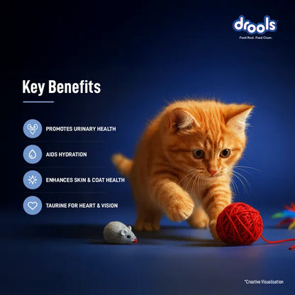 Drools Ocean Fish Mousse Kitten Cat Wet Food