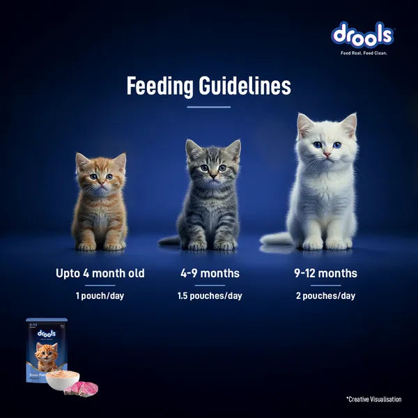 Drools Ocean Fish Mousse Kitten Cat Wet Food