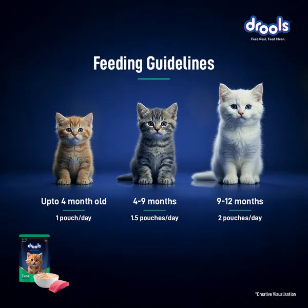 Drools Tuna Mousse Kitten Cat Wet Food