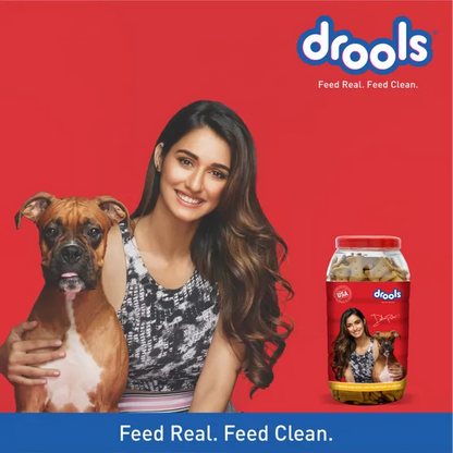 Drools Chicken and Egg Biscuit Dog Treats