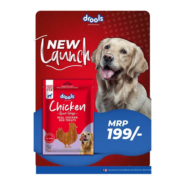 Drools Chicken Roast Strips Dogs Treats