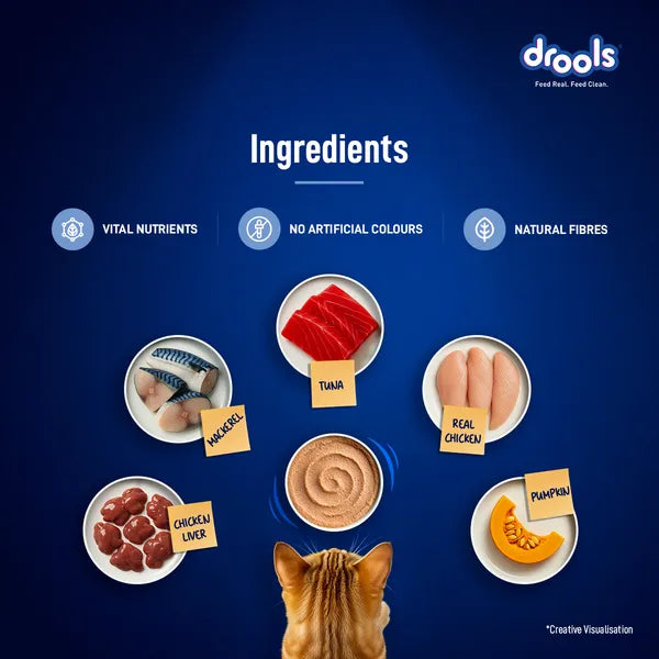Drools Ocean Fish Mousse Adult Cat Wet Food