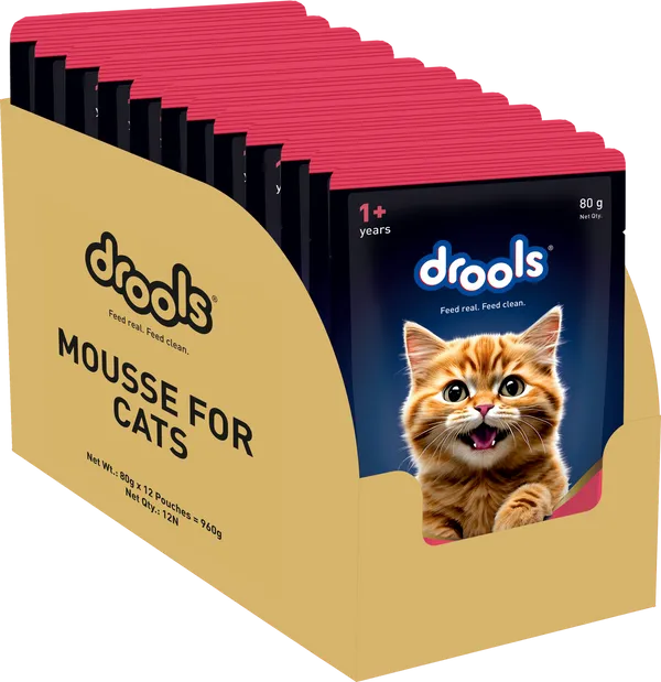 Drools Salmon Mousse Adult Cat Wet Food