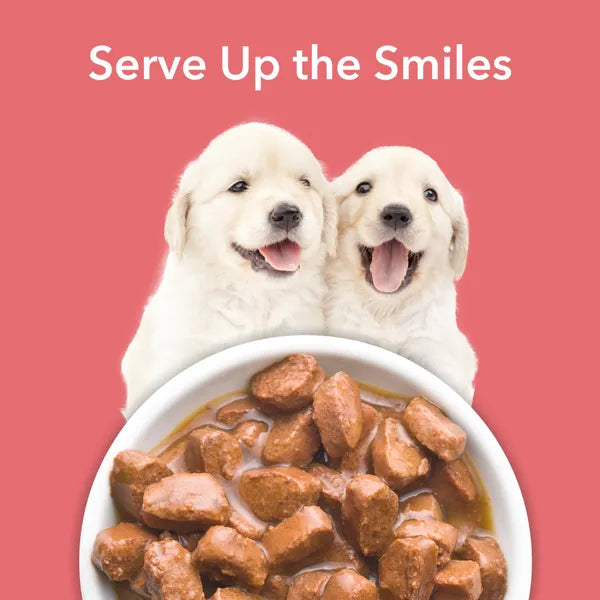 Purepet Chicken & Vegetable Chunks in Gravy Puppy Dog Wet Food