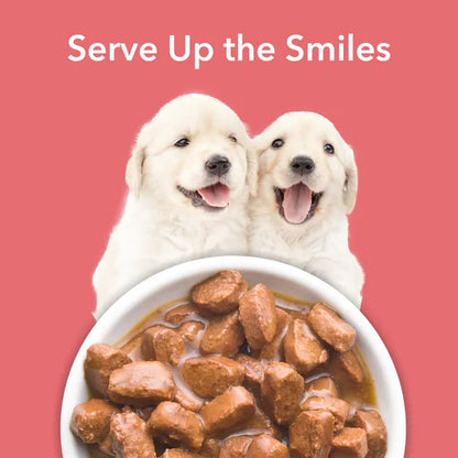 Purepet Chicken & Vegetable Chunks in Gravy Puppy Dog Wet Food