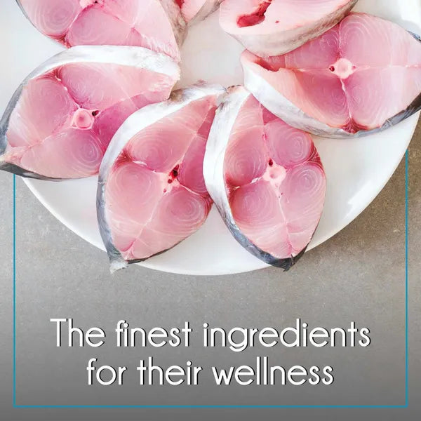 Purepet Mackerel and Ocean Fish Adult Cat Dry Food Combo