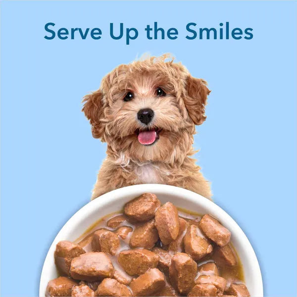 Purepet Chicken & Vegetable Chunks in Gravy Adult Dog Wet Food