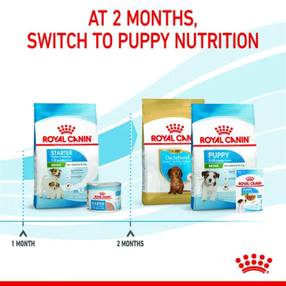 Royal Canin Mini Starter for Small Breed Dogs and Puppies Dry Food