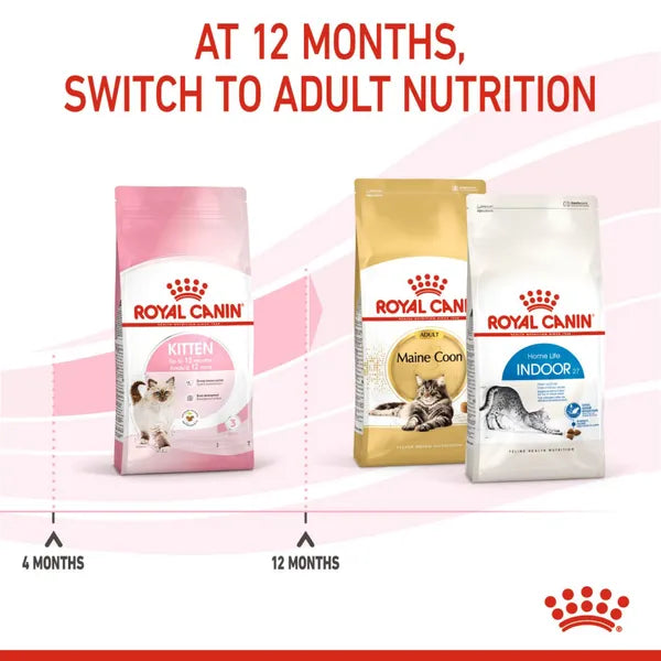 Royal Canin Kitten Cat Dry Food