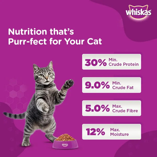 Whiskas Ocean Fish and Tuna Flavour Adult Cat Dry Food Combo