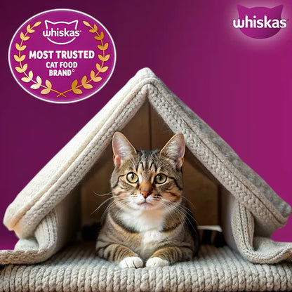 Whiskas Chicken Flavour Cat (Adult 1+) Dry Food
