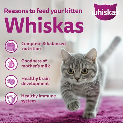 Whiskas Ocean Fish Kitten/Mother and Baby Cat Dry Food