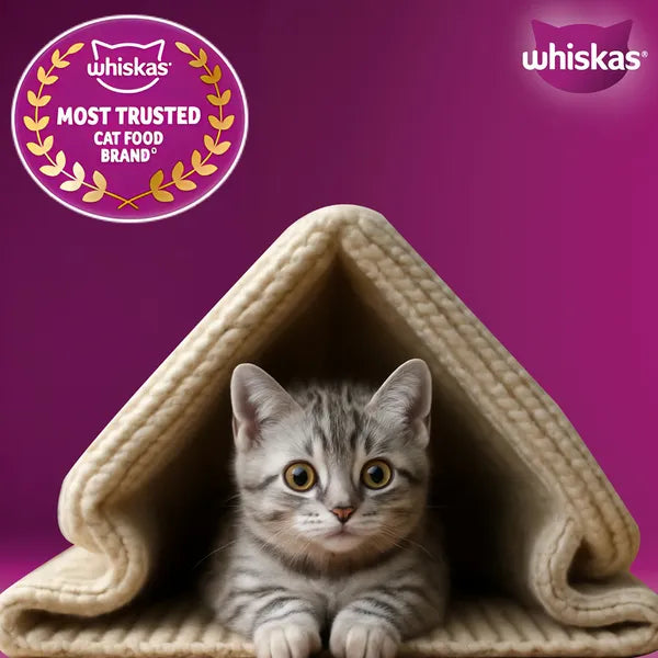 Whiskas Mackerel Flavour Kitten (2 to 12 months)Cat Dry Food