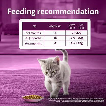 Whiskas Chicken in Gravy Meal Kitten Cat Wet Food