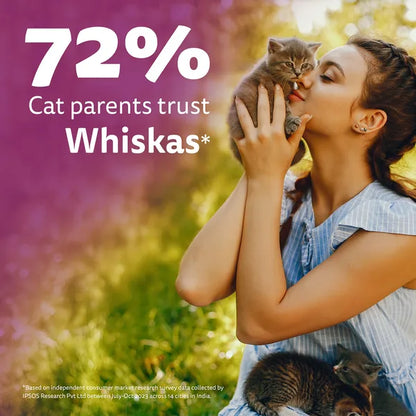 Whiskas Ocean Fish Kitten/Mother and Baby Cat Dry Food