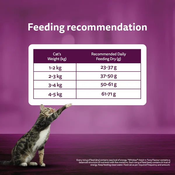 Whiskas Ocean Fish Flavour Adult Cat Dry Food