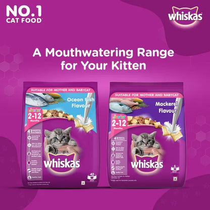 Whiskas Ocean Fish and Tuna in Jelly Kitten Dry and Wet Food Combo