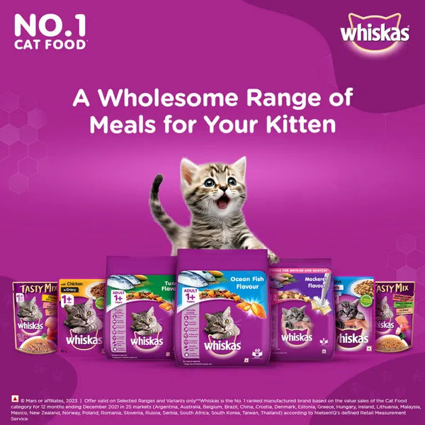 Whiskas Ocean Fish and Tuna in Jelly Kitten Dry and Wet Food Combo